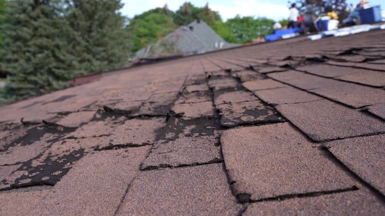 Best Solar Panel Roofing Installation  in USA